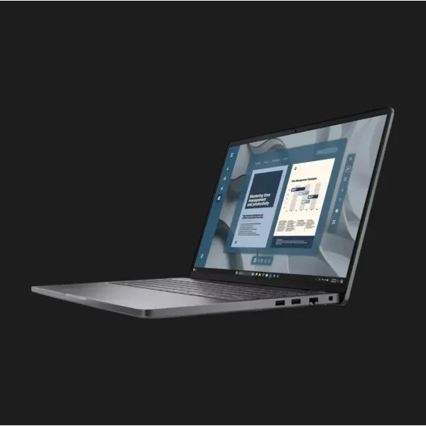 Ноутбук Dell Pro 16 16,1" (AMD Ryzen 5/8GB/256GB (SSD)/AMD Radeon 740M) (bts502_pc16255_usx) (Standard)