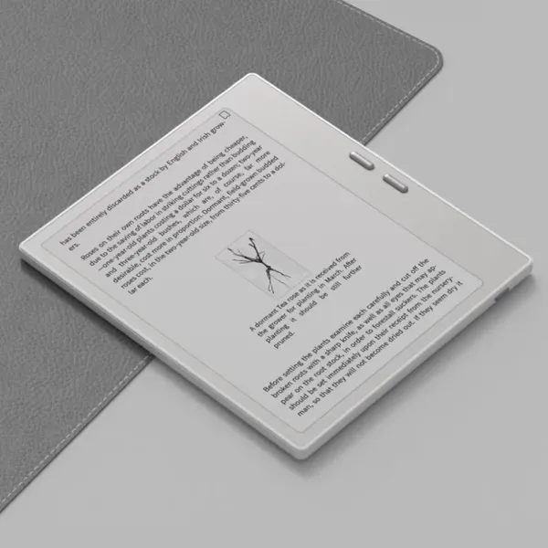 Електронна книга Onyx Boox Go 7 (White) (Standard)