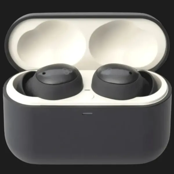 Навушники Final Audio ZE500 for ASMR (Dark Gray)