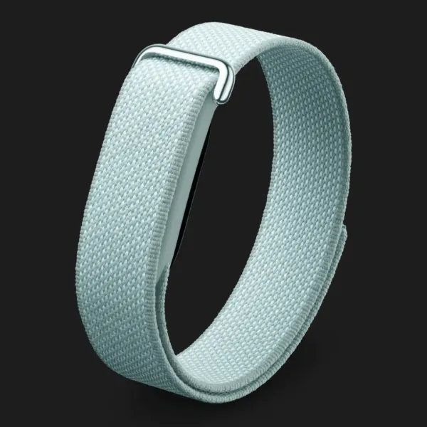 Фітнес-браслет Google Fitbit Air (Fog)