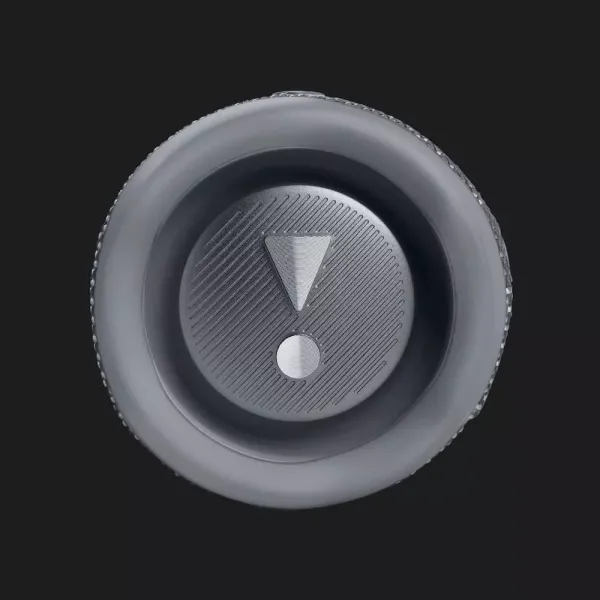 Портативна акустика JBL Flip 6 (Grey)