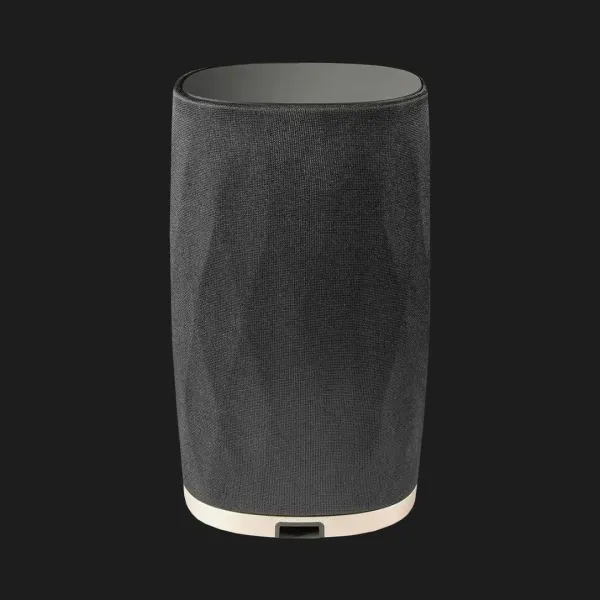 Бездротова акустика Bowers & Wilkins Formation Flex (Black)