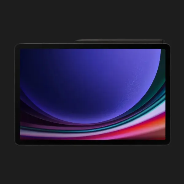 Планшет Samsung Galaxy Tab S9 12/256GB Wi-Fi (Graphite) (Standard)
