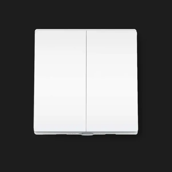 Розумний вимикач світла TP-LINK Tapo S220, 2-канальний 1-сторонній