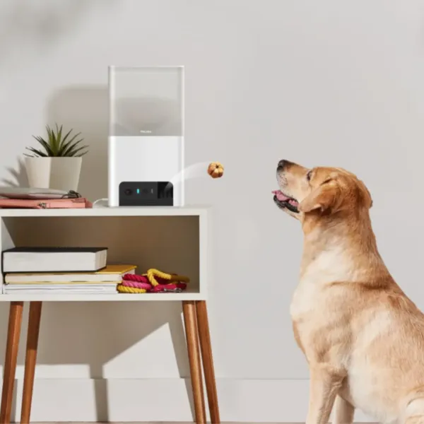 Інтерактивна HD камера Petcube Bites 2 Lite (Silver)