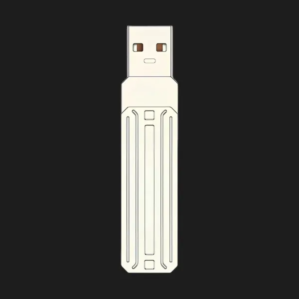 Флеш-накопичувач WIWU Flash Drive 256GB (FD001)