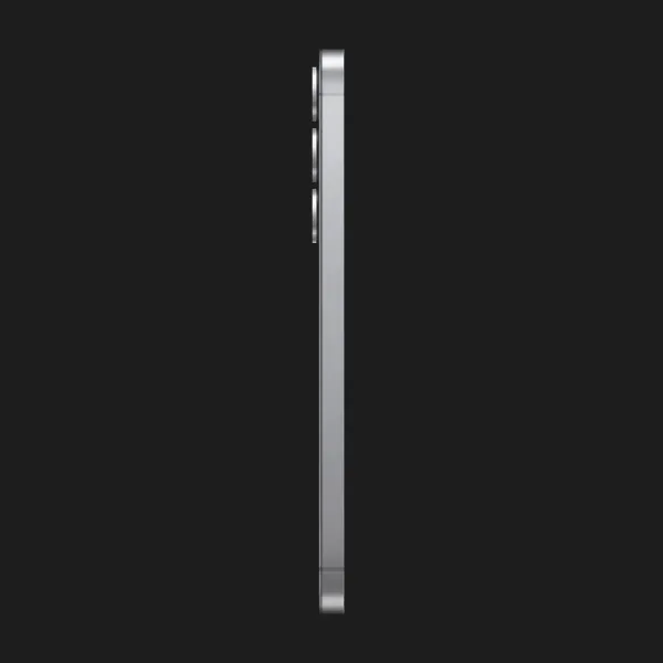 Samsung Galaxy S25 12/512GB (Silver Shadow) (S931) (Standard)