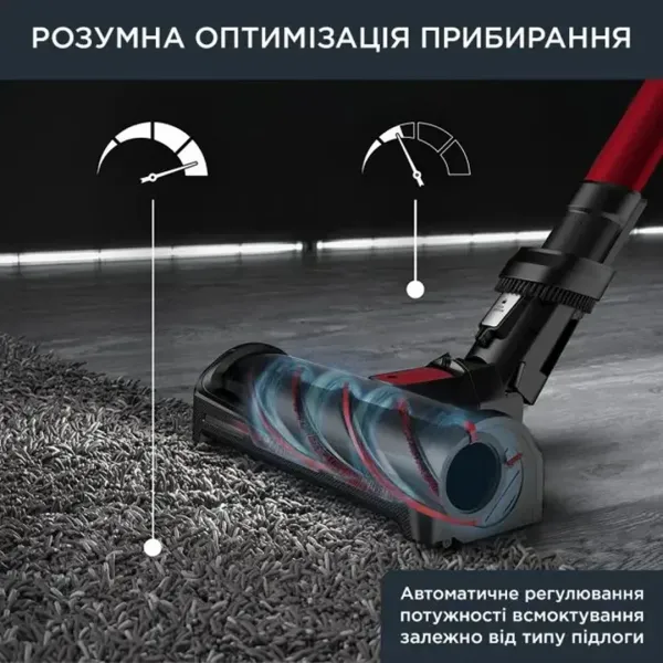 Пилосос Rowenta X-Force Flex 12.60 Auto Animal (RH98A9WO)