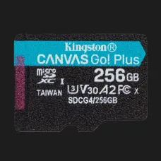 Карта пам'яті Kingston Canvas Go Plus 256GB (SDCG4/256GBSP)