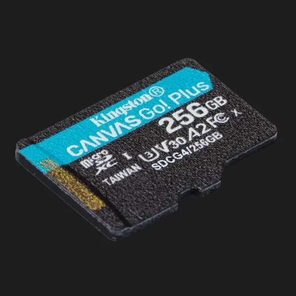 Карта пам'яті Kingston Canvas Go Plus 256GB (SDCG4/256GBSP)